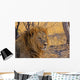 Lion Staring Into Distance Wall Decal