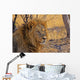 Lion Staring Into Distance Wall Decal