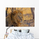 Lion Staring Into Distance Wall Decal