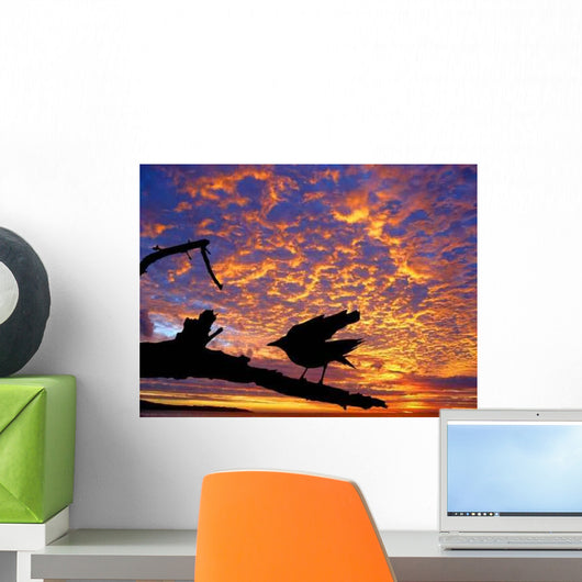 Black Bird Against Sunset Wall Decal