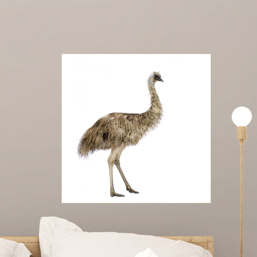 Emu Front White Wall Decal