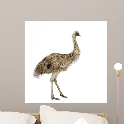 Emu Front White Wall Decal shown on a wall