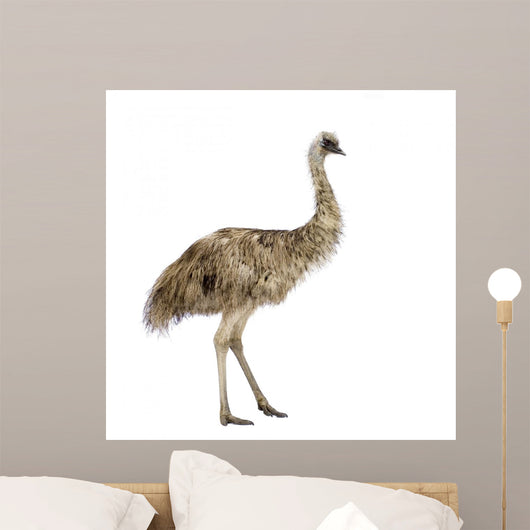 Emu Front White Wall Decal