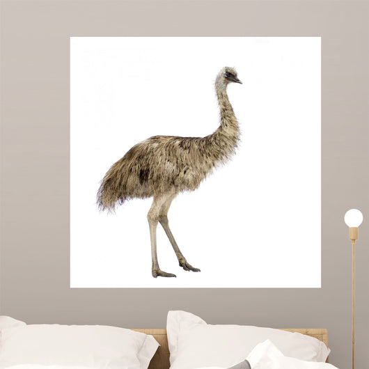 Emu Front White Wall Decal