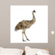 Emu Front White Wall Decal