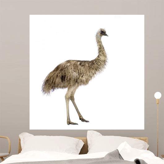 Emu Front White Wall Decal
