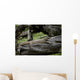 Waran Wall Decal