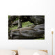 Waran Wall Decal