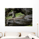 Waran Wall Decal