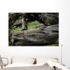 Waran Wall Decal