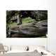 Waran Wall Decal