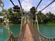 Hanging Bridge Over Small Wall Decal