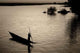 Niger Sepia Wall Decal