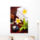 Spa Concept With Zen Wall Decal