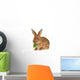 Rabbit Wall Decal