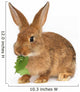 Rabbit Wall Decal