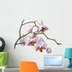 Pink Orchid Wall Decal