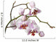 Pink Orchid Wall Decal