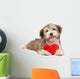 Lover Valentine Chocolate Havanese Wall Decal