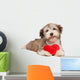 Lover Valentine Chocolate Havanese Wall Decal