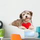 Lover Valentine Chocolate Havanese Wall Decal