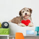 Lover Valentine Chocolate Havanese Wall Decal