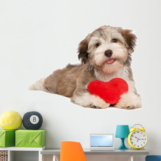 Lover Valentine Chocolate Havanese Wall Decal