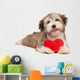 Lover Valentine Chocolate Havanese Wall Decal