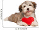 Lover Valentine Chocolate Havanese Wall Decal