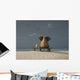 Elephant And Dog Sitting on Bench Wall Decal