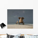 Elephant And Dog Sitting on Bench Wall Decal