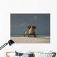 Elephant And Dog Sitting on Bench Wall Decal