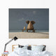 Elephant And Dog Sitting on Bench Wall Decal