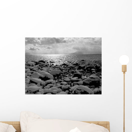 Lake Tahoe Beach in Winter (Greyscale) Wall Decal