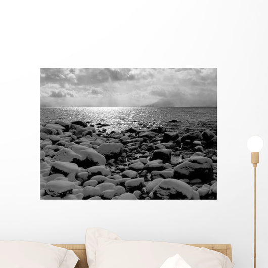 Lake Tahoe Beach in Winter (Greyscale) Wall Decal
