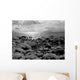 Lake Tahoe Beach in Winter (Greyscale) Wall Decal