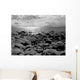 Lake Tahoe Beach in Winter (Greyscale) Wall Decal