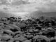 Lake Tahoe Beach in Winter (Greyscale) Wall Decal