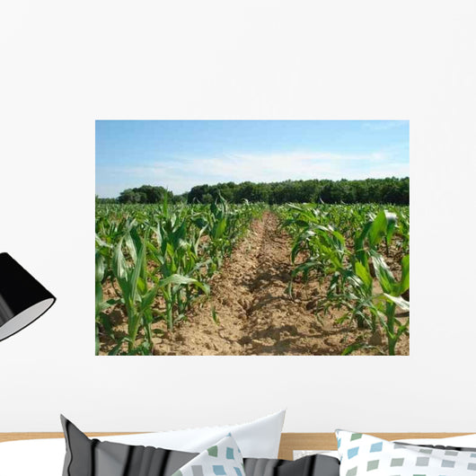 Coltman Corn Field Wall Decal