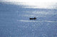 Angler Im Boot Wall Decal