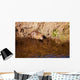 Nutria Wall Decal