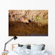 Nutria Wall Decal