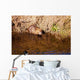 Nutria Wall Decal