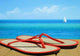 Flipflops Dock Wall Decal
