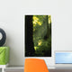 Sunbeams In Forest Of California Redwoods Wall Mural