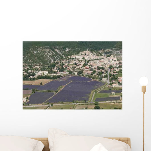 Banon Wall Decal