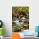 Autumn Stream Wall Decal