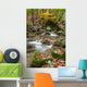 Autumn Stream Wall Decal