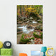 Autumn Stream Wall Decal