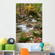 Autumn Stream Wall Decal